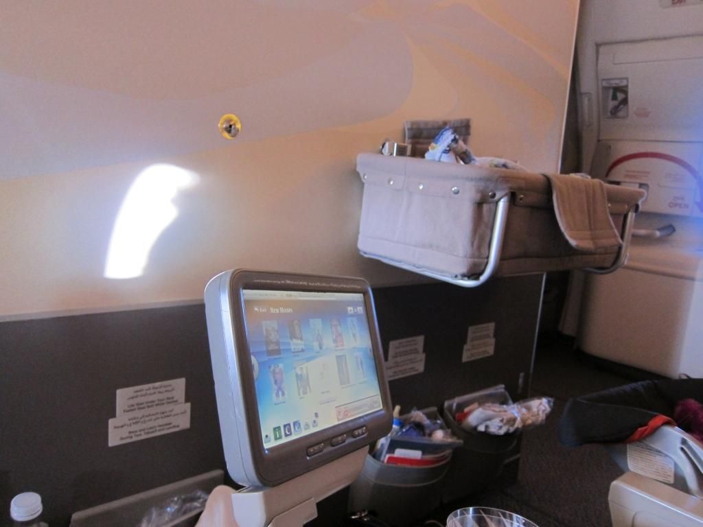 candidanimal The Emirates Air Experience